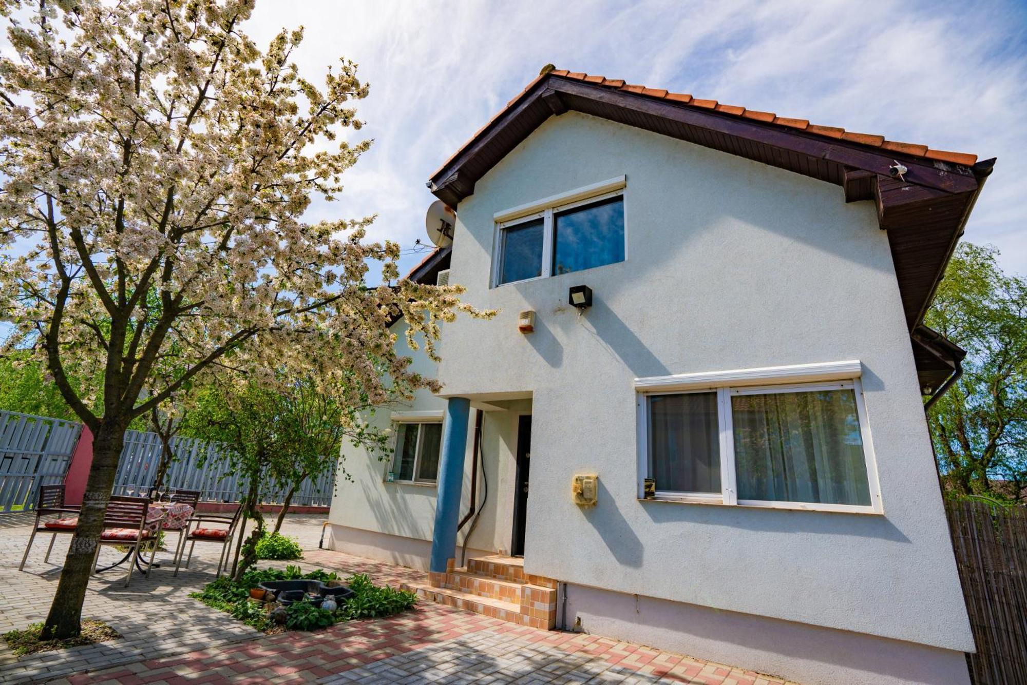 Pitstop Apartments Dumbravita  Εξωτερικό φωτογραφία