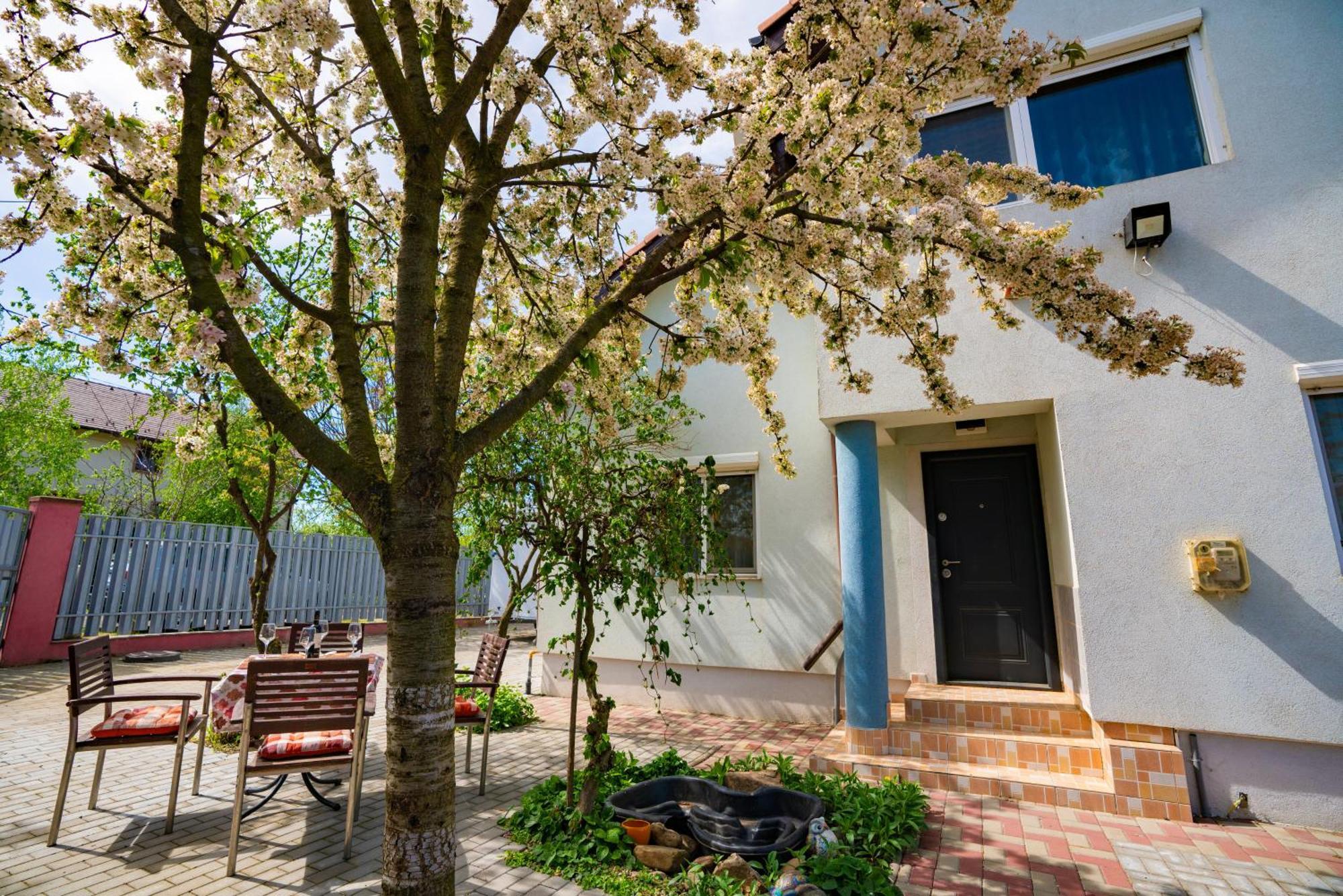 Pitstop Apartments Dumbravita  Εξωτερικό φωτογραφία