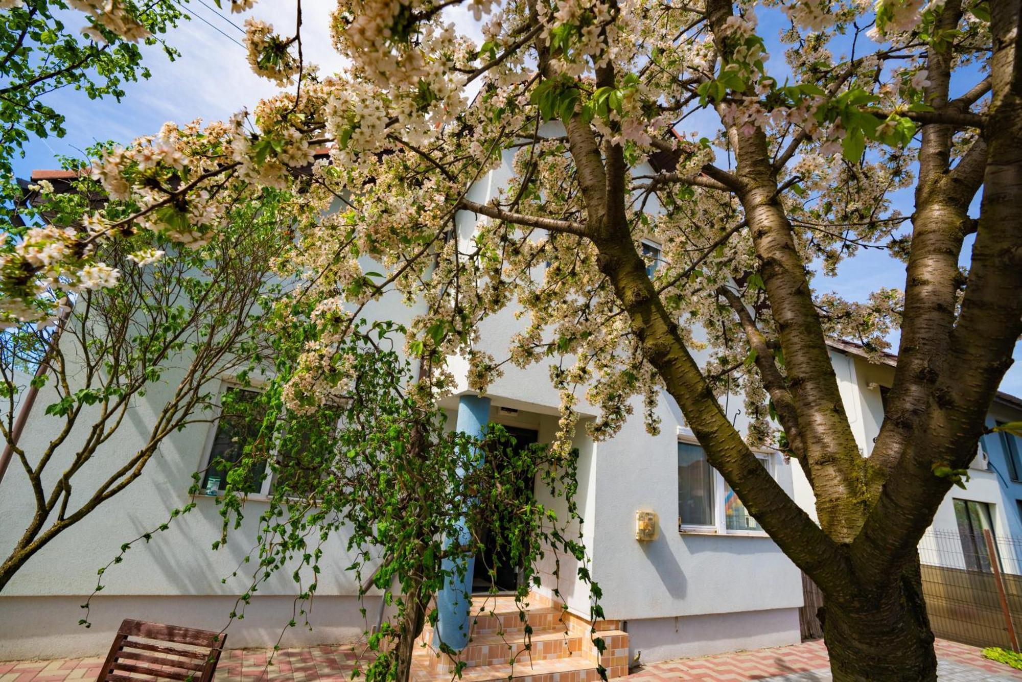 Pitstop Apartments Dumbravita  Εξωτερικό φωτογραφία