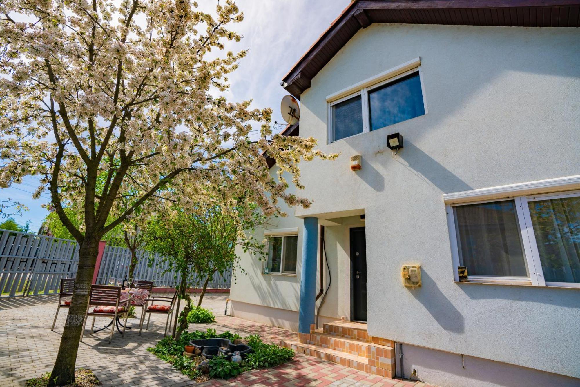 Pitstop Apartments Dumbravita  Εξωτερικό φωτογραφία
